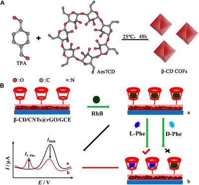 Design of Cyclodextrin-Based Functional Systems for Biomedical Applications